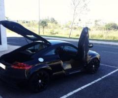 Audi TT 2007 - Dolores